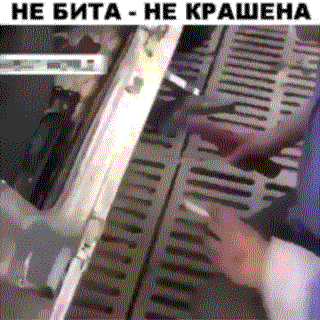 Не бита не крашена