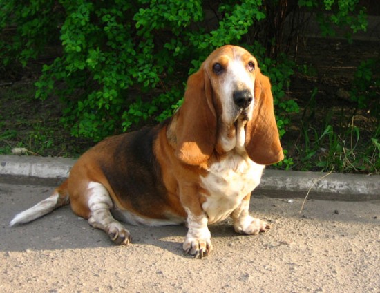 Изображение-038