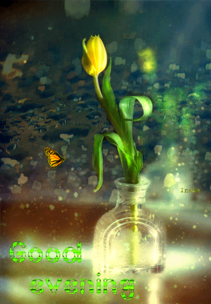 151947912185993396 (1)