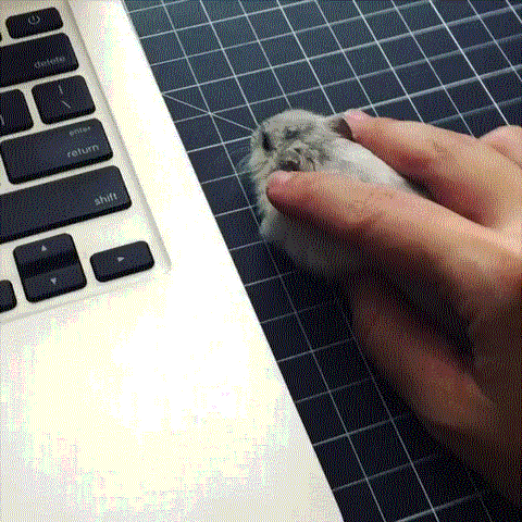 Мышь не работает