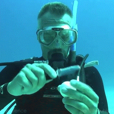 Яйцо под водой