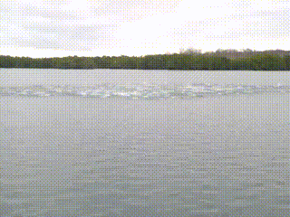 _yapfiles.ru (1)