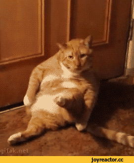 невозможное-возможно