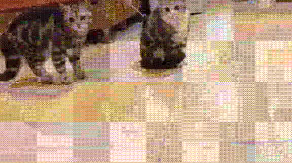 tmp_cleverpub_fb467ce8a1dcdce1863cee5e03840963