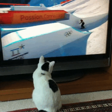 Шпорт ты жесть!