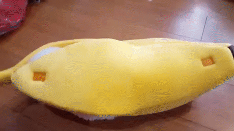 daily_gifdump_1557_11