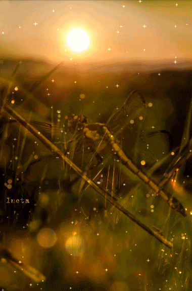 152060094311339073 (3)