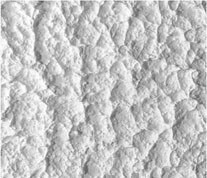 10011460_w640_h640_ilmax6530