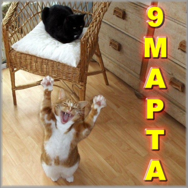 9 Марта!