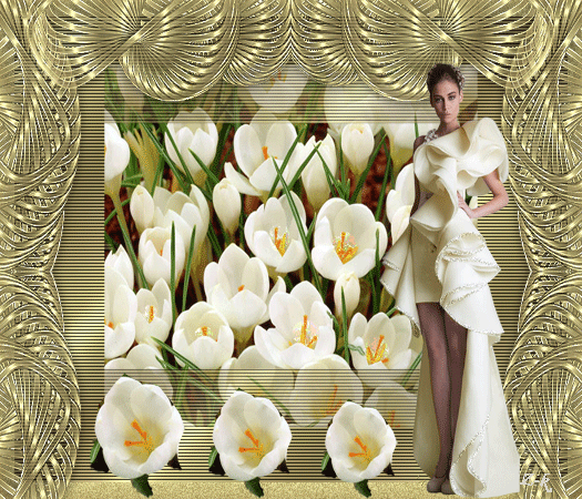 zk-wiosenne-krokusy1