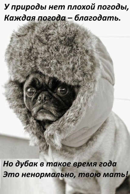 Погода благодать