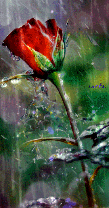 152174410934626524 (1)