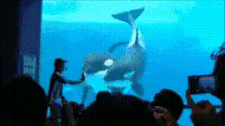 Давайте фоткать!