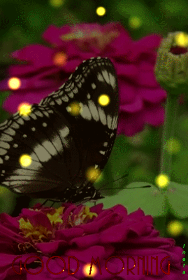 152215124684425482 (2)