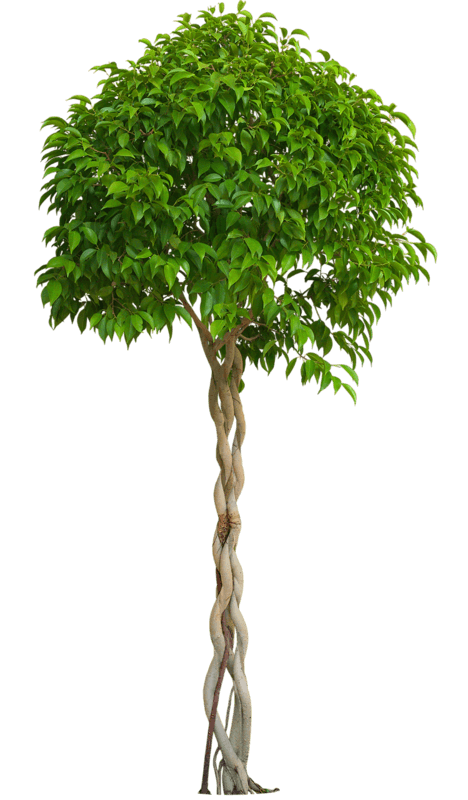 0_1e4c9d_df996508_orig