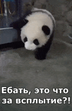 gifki-panda-zlaya-panda-pesochnitsa-2853125