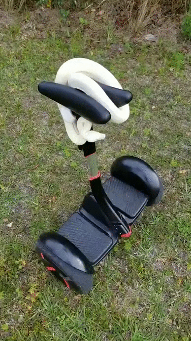 -змея-Гироскутер-4396667