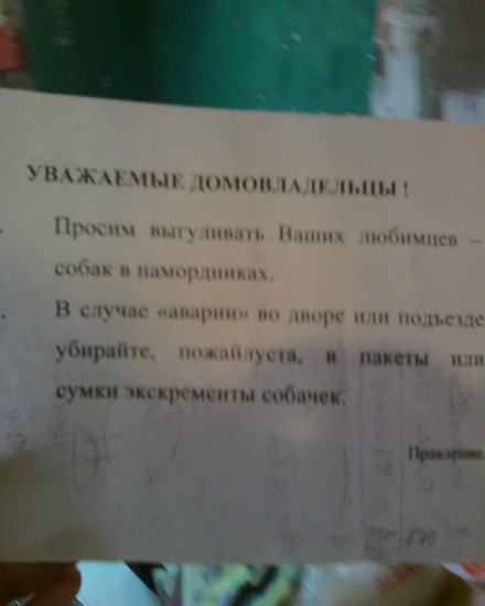 Photo-0010