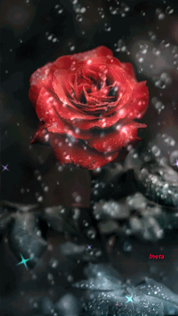 15229503592342042 (1)