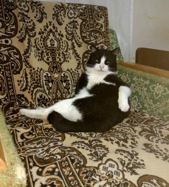 IMG_20171204_174137~01