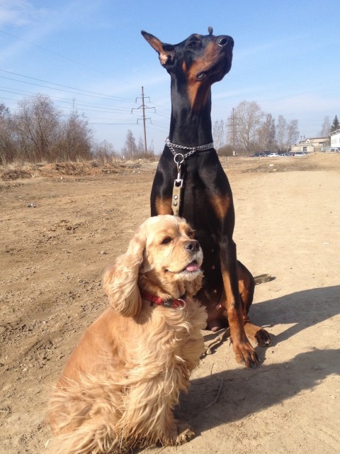 00694476-A449-4D77-9698-1B0B71DB703B