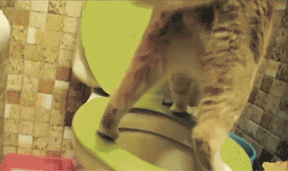 Разматыватель