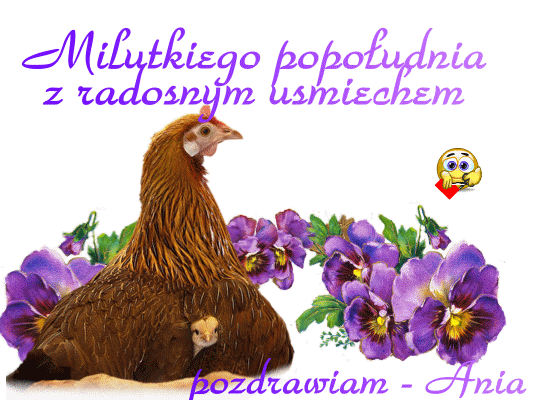 milutkiego popołudnia