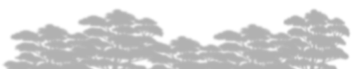 schatten bäume