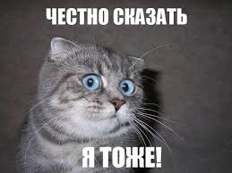 названия (1)