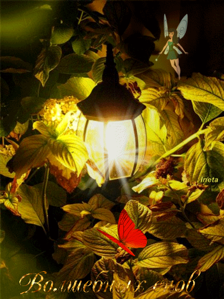 152363560273003190 (1)