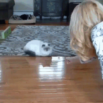 просто рефлексы