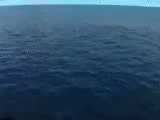подлодка