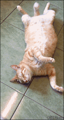 Реакция на еду