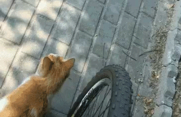 4964d79bc20e38c401619b0826b5d53f