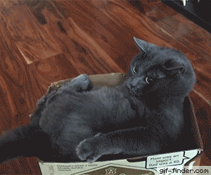 3eb6794b0f2ea227c9579b397d93593e