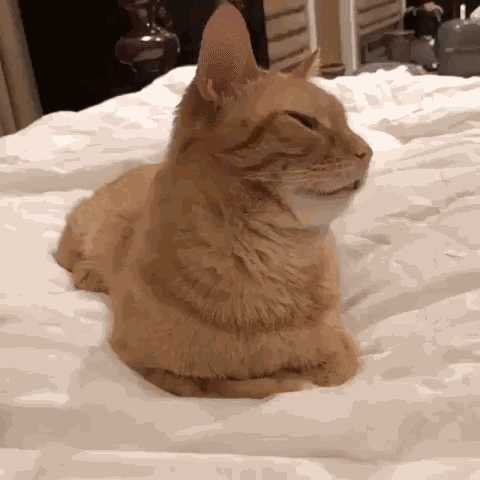 понидельник