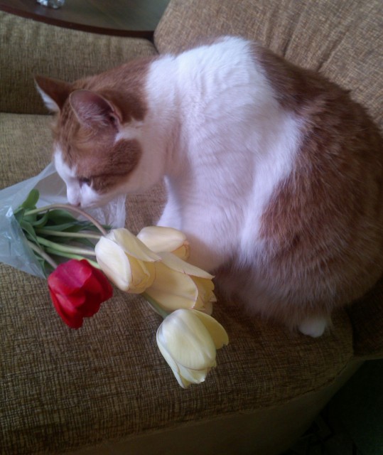 imgonline-com-ua-Compressed-9DsIzXVOG6XSaws