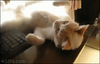 Упал и пошел