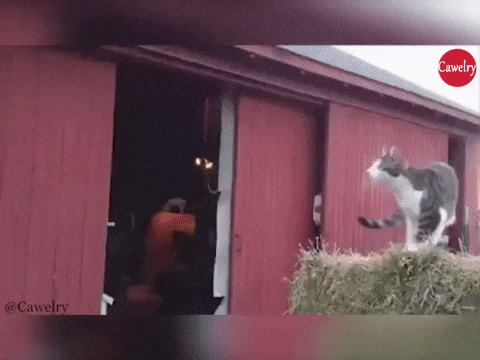 66DD9988-D6FE-4EEB-BDD5-0AE4E2F0E1F9