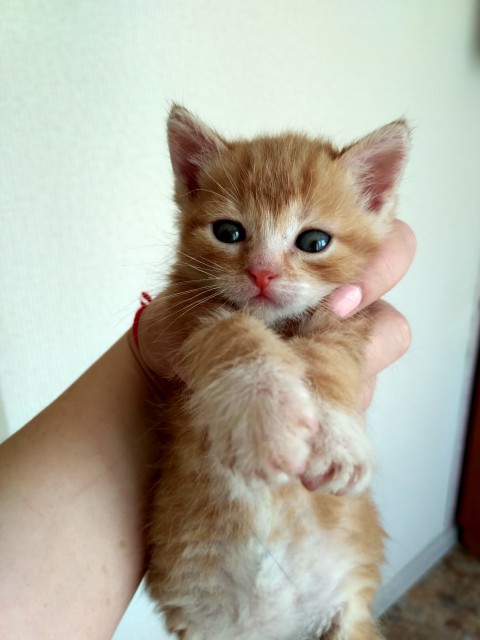 IMG_20180424_094045_HDR (1)