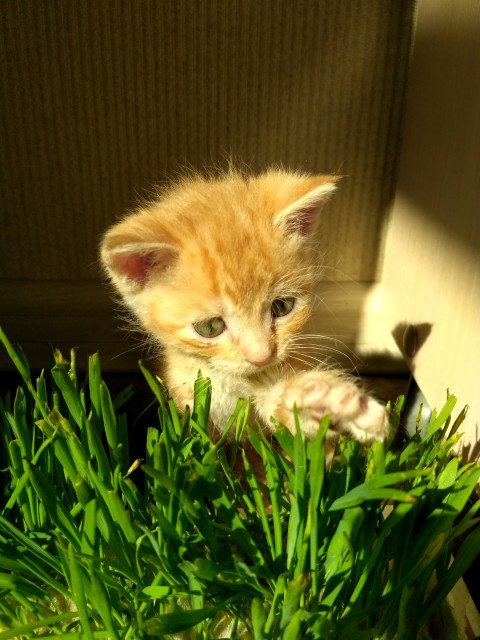 IMG_20180424_094415_HDR