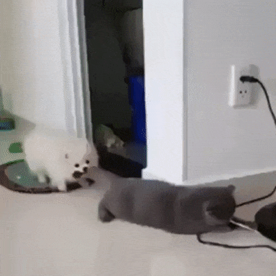 15fc422651087a8f55e69cbfe301f5ad