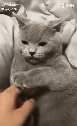 Я так понимаю, по хорошему ты не хочешь