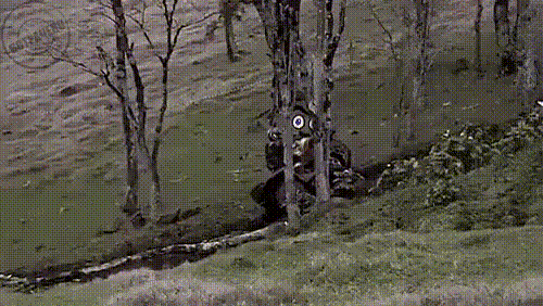сбежал