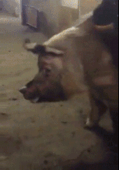 af7589b2-989f-4983-b037-df3f7f2e209c