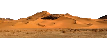 images_1_yapfiles.ru1