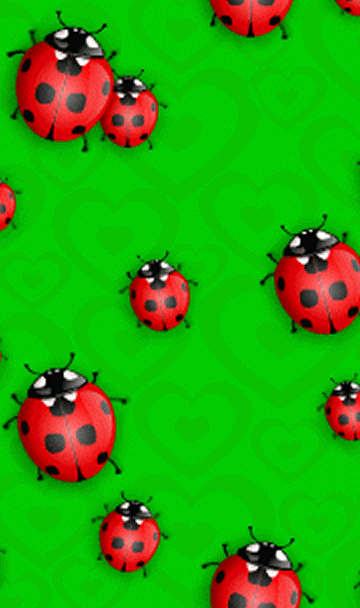 -коровка-(11)