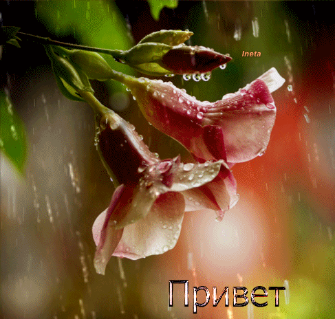 152580071628546463 (2)