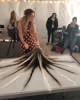 786a900db75cf0fe99b34ac48ea0cd62