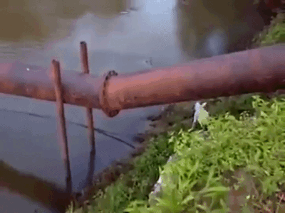 c724289b6269be7ba4024d35b83ad6a3